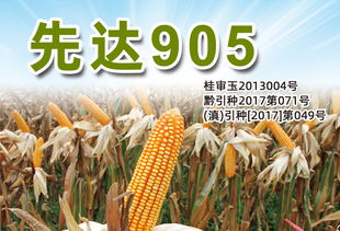 產品 三北種業 sanbeiseed 種子,玉米種子,種業公司,高產栽培,農業技術