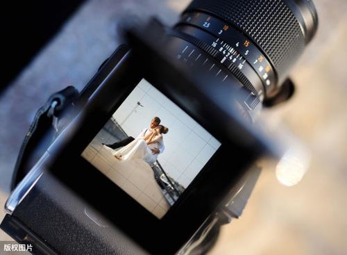 備婚新人必知 婚禮攝影與攝像的區別，避免留下遺憾